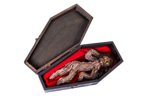 "Alraun-Männlein im Sarg 1595" (2019)