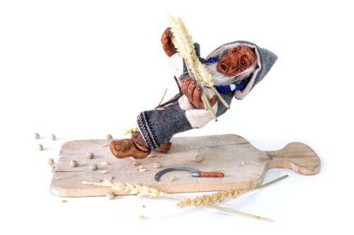 "Der Ährenträger - Wichtel" (2019) "Der Ährenträger" Wichtel - 2019